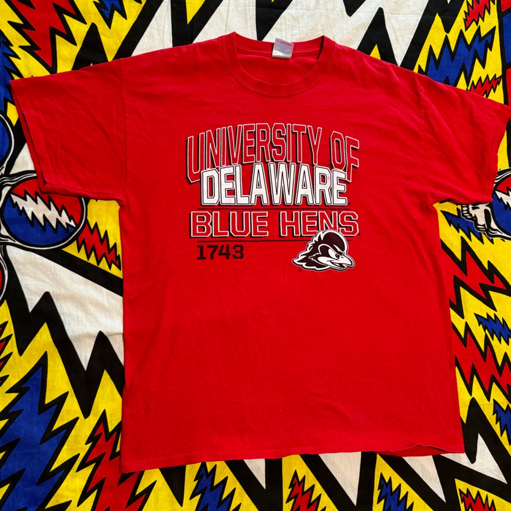 Vintage University of Delaware Blue Hens T Shirt